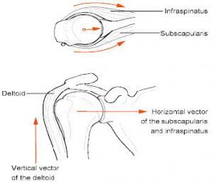 Rotator Cuff Injury Arthroscopic Rotator Cuff Repair Houston TX